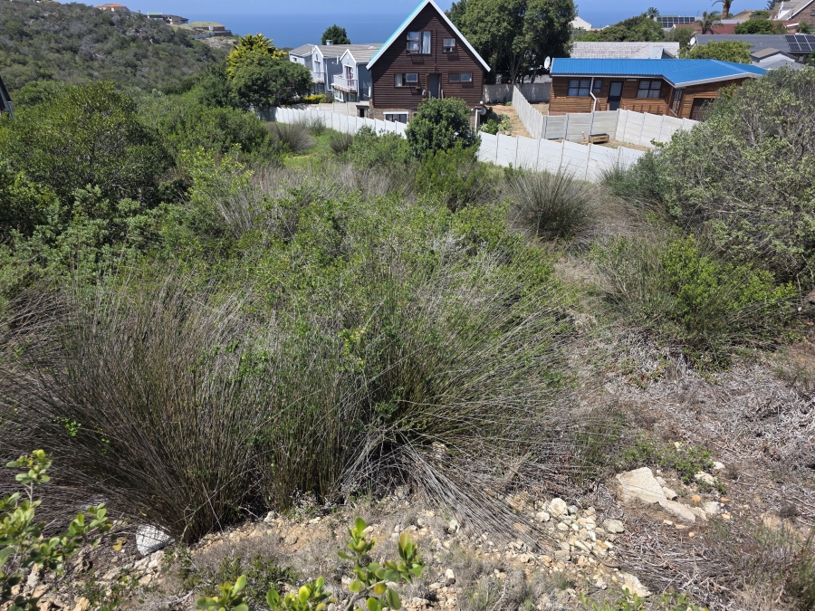 0 Bedroom Property for Sale in Dana Bay Western Cape